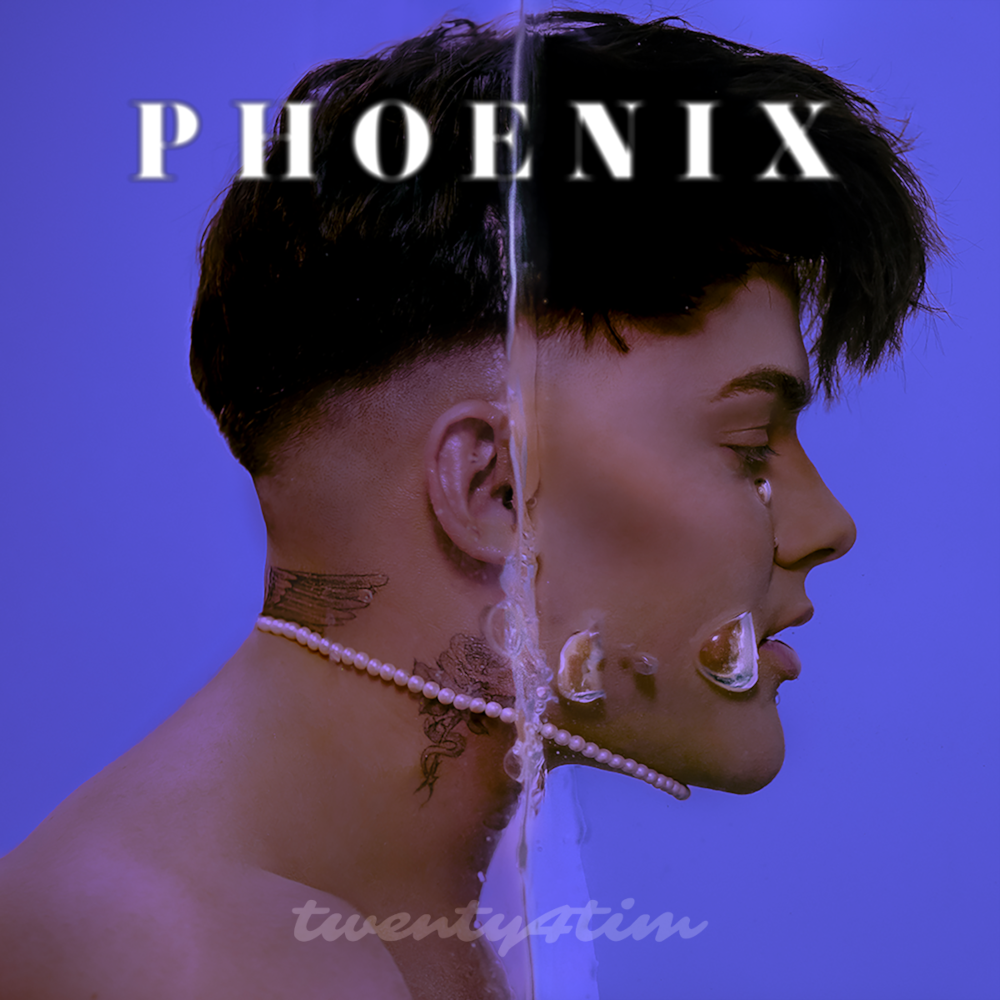 Twenty4tim PHOENIX CD + T-Shirt 327077